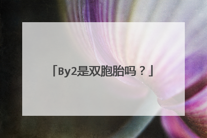 By2是双胞胎吗?
