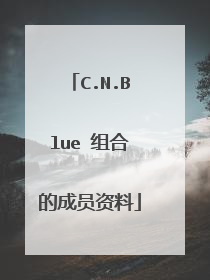 C.N.Blue 组合的成员资料