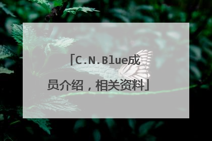 C.N.Blue成员介绍，相关资料