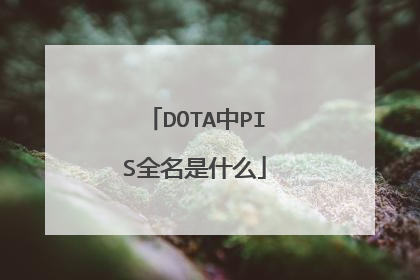 DOTA中PIS全名是什么