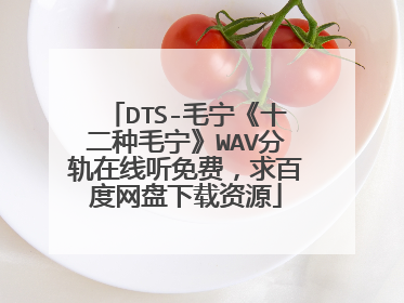 DTS-毛宁《十二种毛宁》WAV分轨在线听免费,求百度网盘下载资源