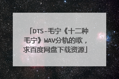 DTS-毛宁《十二种毛宁》WAV分轨的歌,求百度网盘下载资源