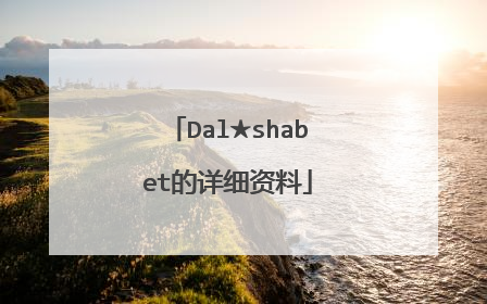 Dal★shabet的详细资料
