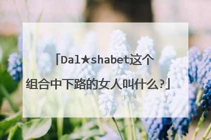 Dal★shabet这个组合中下路的女人叫什么?