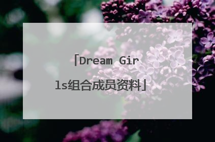 Dream Girls组合成员资料
