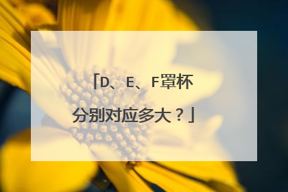 D、E、F罩杯分别对应多大?