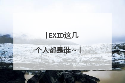 EXID这几个人都是谁~