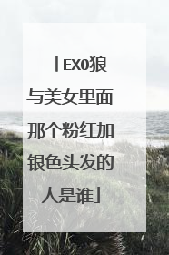 EXO狼与美女里面那个粉红加银色头发的人是谁