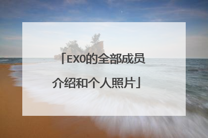 EXO的全部成员介绍和个人照片