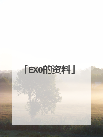 EXO的资料