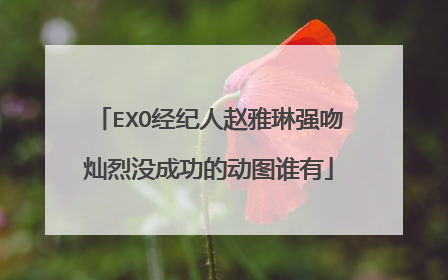 EXO经纪人赵雅琳强吻灿烈没成功的动图谁有