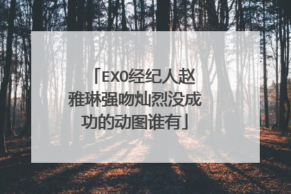 EXO经纪人赵雅琳强吻灿烈没成功的动图谁有