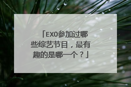 EXO参加过哪些综艺节目，最有趣的是哪一个？