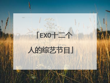EXO十二个人的综艺节目