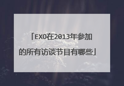 EXO在2013年参加的所有访谈节目有哪些
