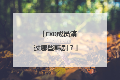 EXO成员演过哪些韩剧？