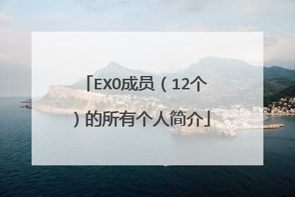 EXO成员（12个）的所有个人简介