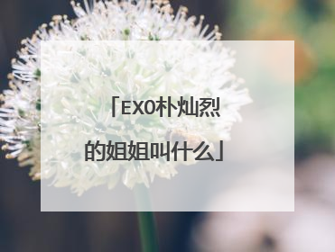 EXO朴灿烈的姐姐叫什么
