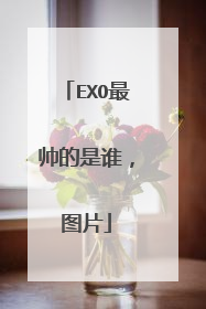 EXO最帅的是谁,图片