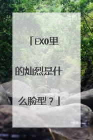 EXO里的灿烈是什么脸型?
