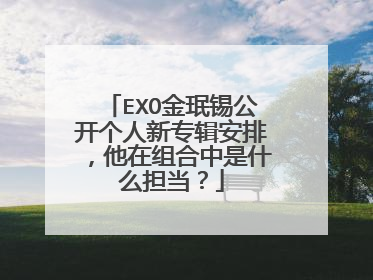 EXO金珉锡公开个人新专辑安排,他在组合中是什么担当?