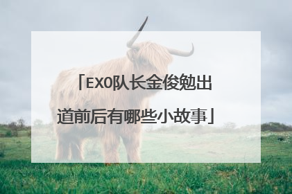 EXO队长金俊勉出道前后有哪些小故事