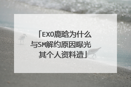 EXO鹿晗为什么与SM解约原因曝光 其个人资料遭