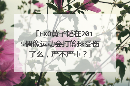 EXO黄子韬在2015偶像运动会打篮球受伤了么,严不严重?