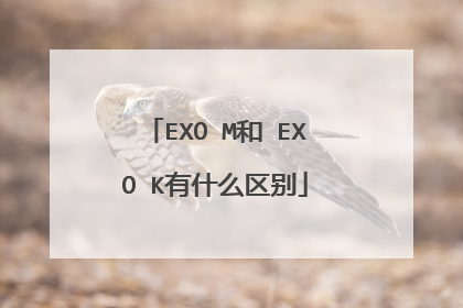 EXO M和 EXO K有什么区别