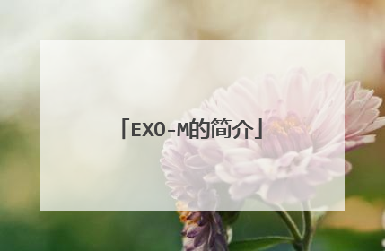EXO-M的简介