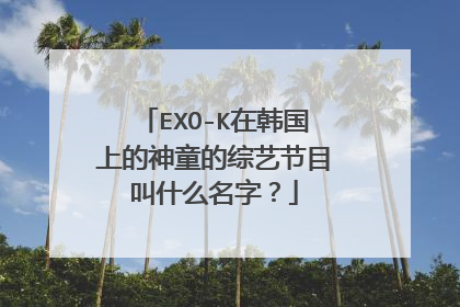 EXO-K在韩国上的神童的综艺节目叫什么名字？