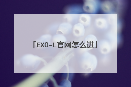 EXO-L官网怎么进
