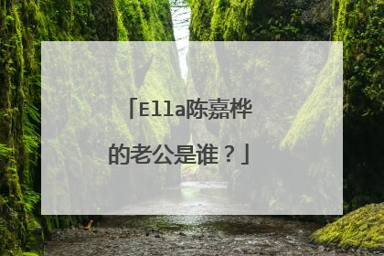 Ella陈嘉桦的老公是谁？