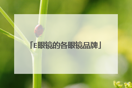 E眼镜的各眼镜品牌