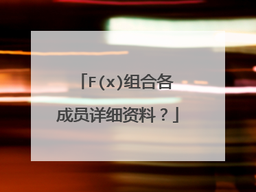 F(x)组合各成员详细资料？