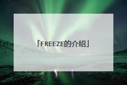 FREEZE的介绍