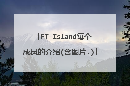 FT Island每个成员的介绍(含图片.)