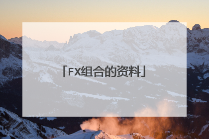 FX组合的资料