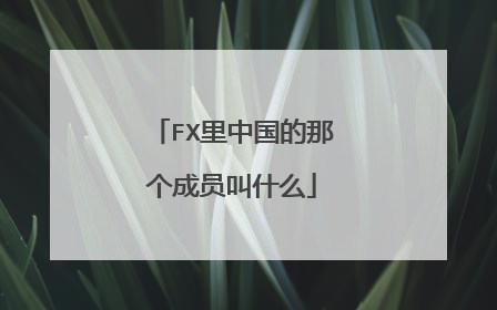 FX里中国的那个成员叫什么