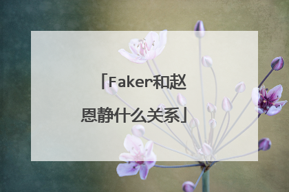 Faker和赵恩静什么关系