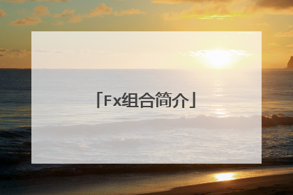 Fx组合简介
