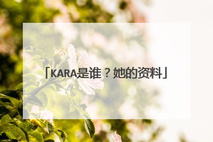 KARA是谁？她的资料
