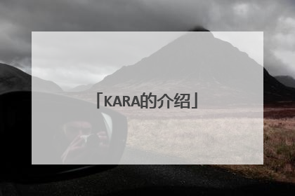 KARA的介绍
