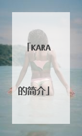 KARA的简介