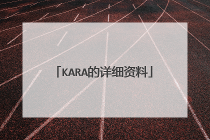 KARA的详细资料