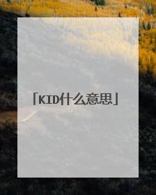 KID什么意思