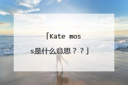 Kate moss是什么意思??