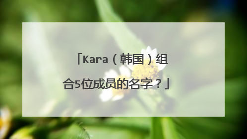 Kara(韩国)组合5位成员的名字?