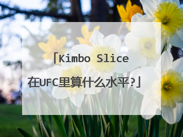Kimbo Slice在UFC里算什么水平?
