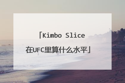 Kimbo Slice在UFC里算什么水平